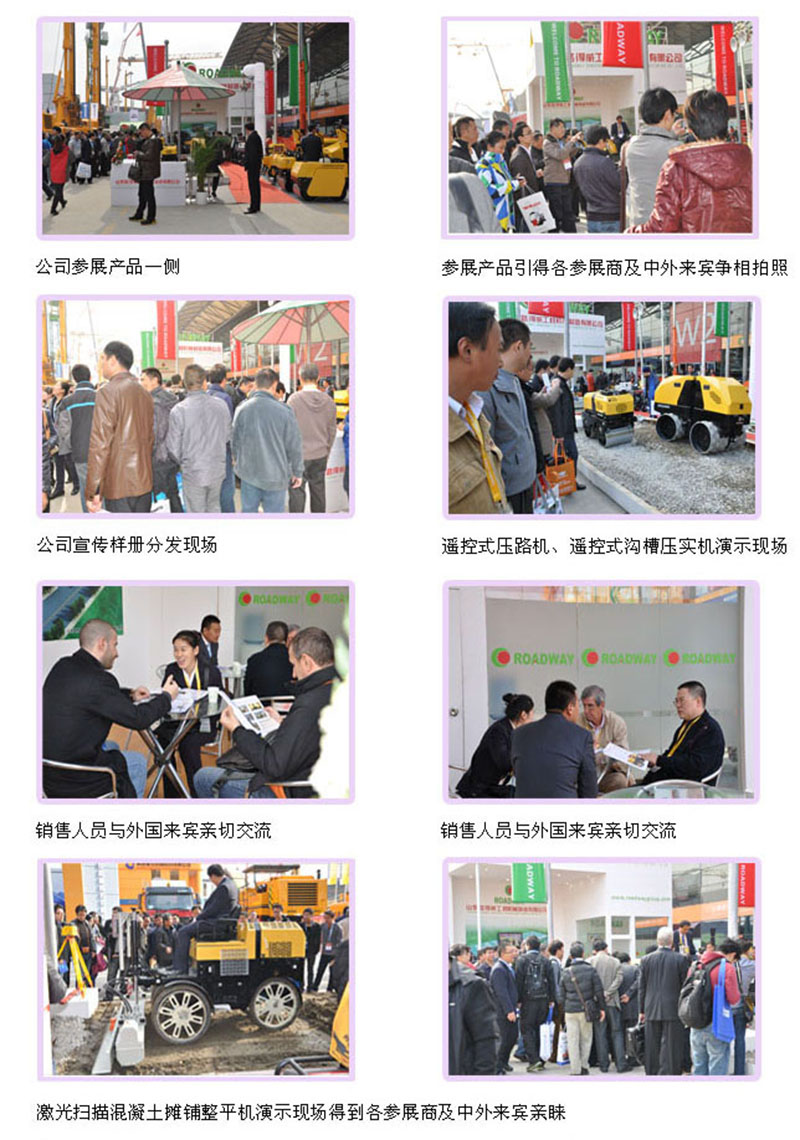 祝山東路得威成功參展2012年上海寶馬展