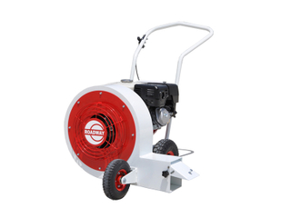 路面吹風(fēng)機(jī) RWCF11